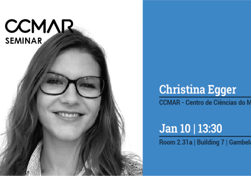 Generic representation of Our Planet Reviewed - New Caledonia Expedition