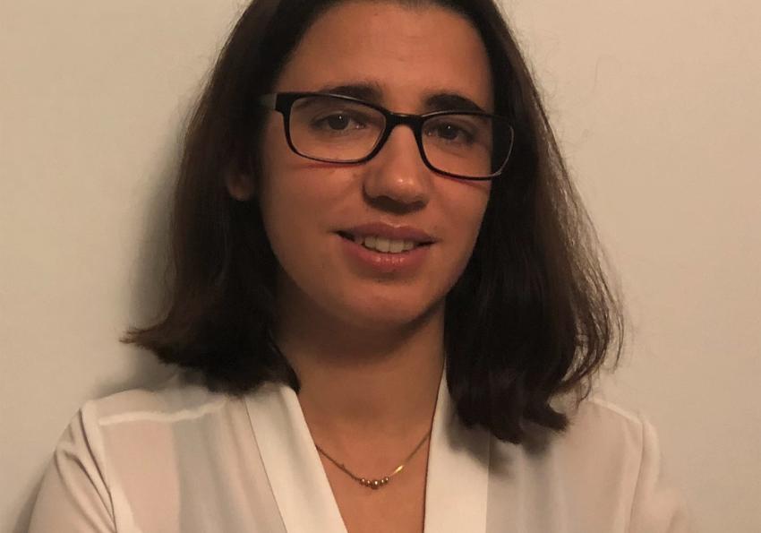 Generic representation of PhD Thesis Presentation of Susana Rodrigues