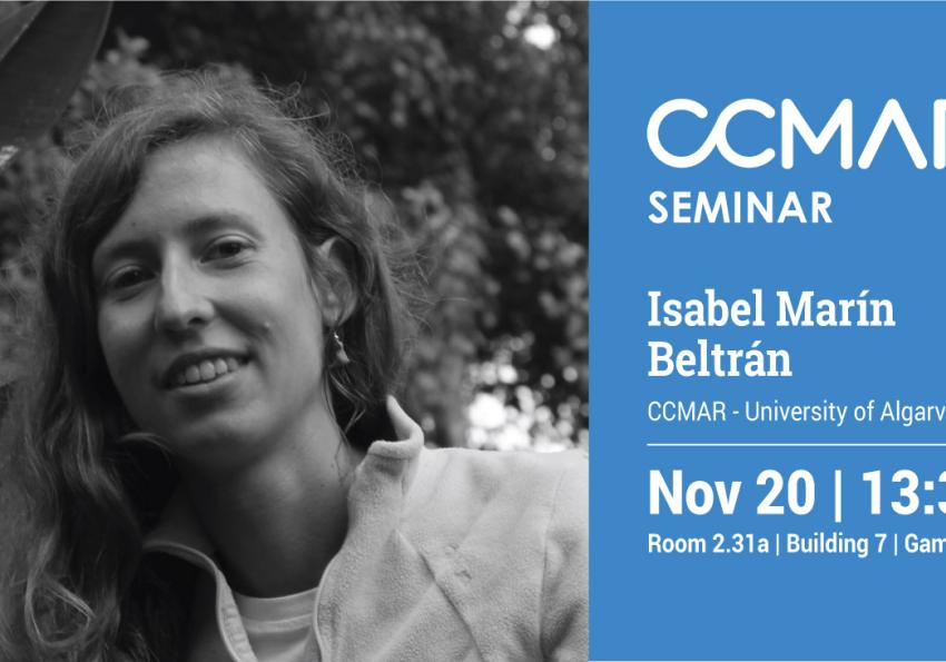 Generic representation of Microplastics: from emergent threat to public enemies