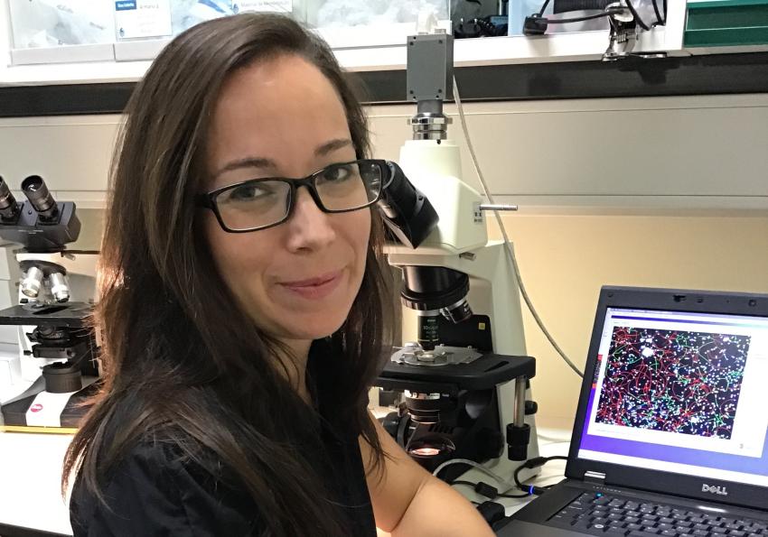 Generic representation of PhD Thesis Presentation of Patrícia Diogo