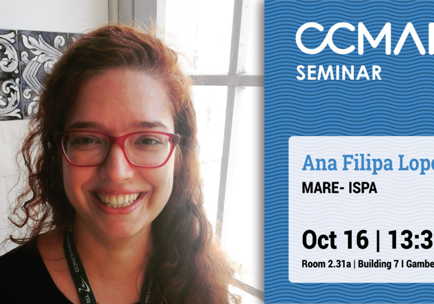 Generic representation of A changing ocean for future fish