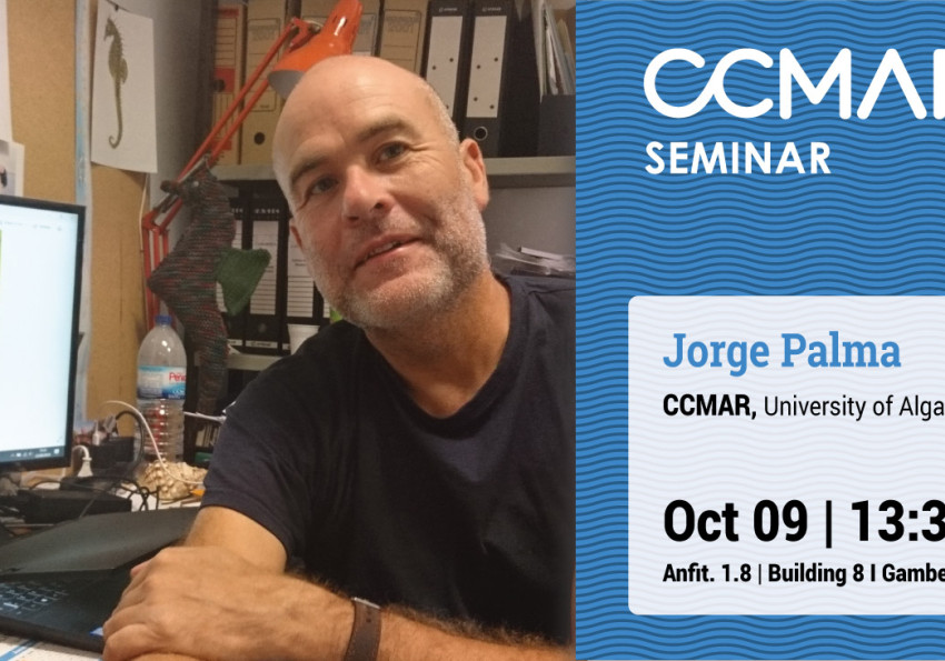 Generic representation of Seahorse ecology and conservation