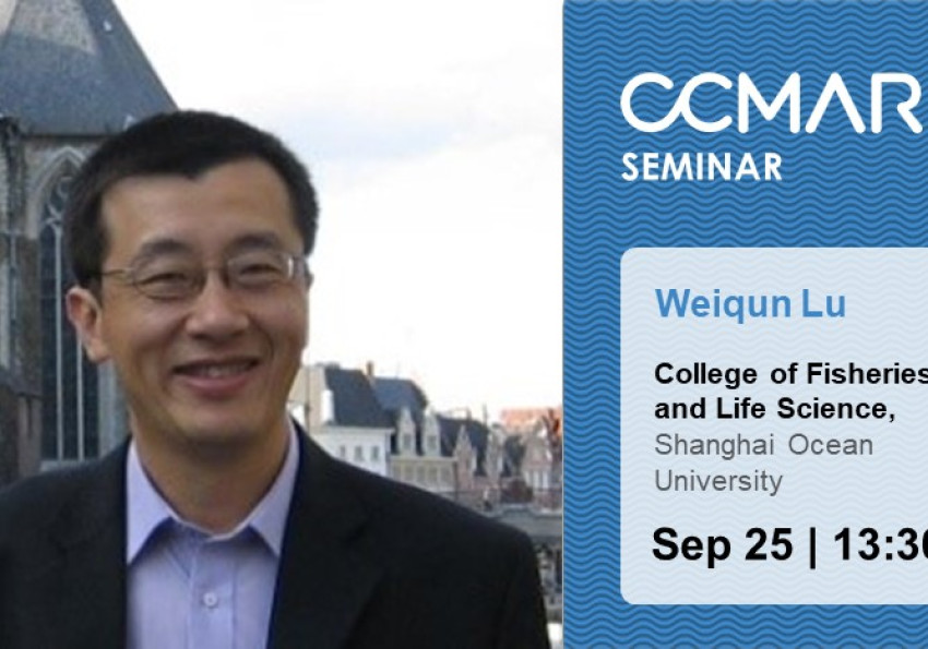 Generic representation of Why stress: The fate of the bold and shy fish