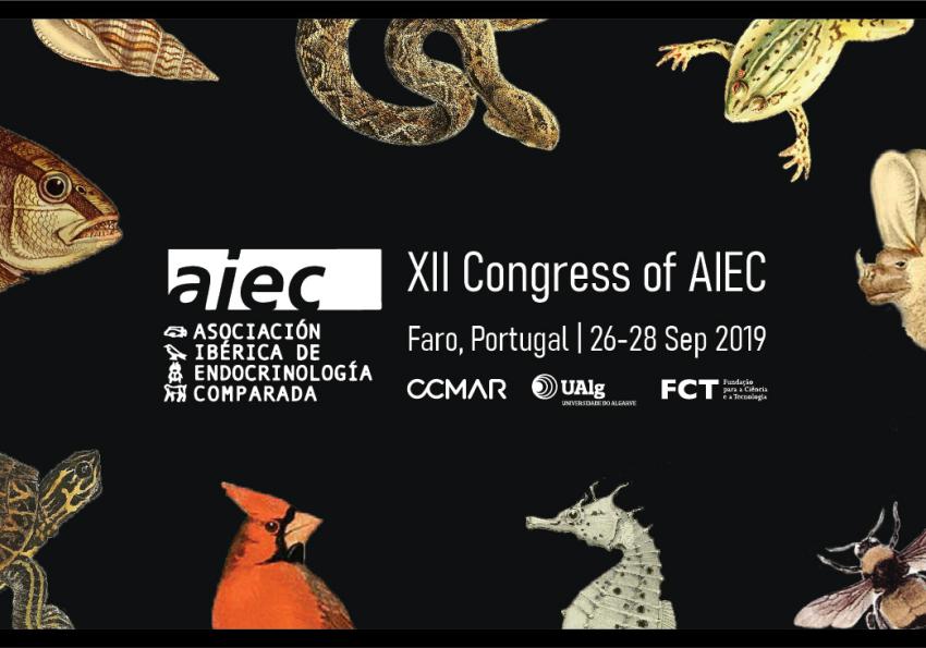 Generic representation of 12th Congress of the Iberian Association for Comparative Endocrinologists