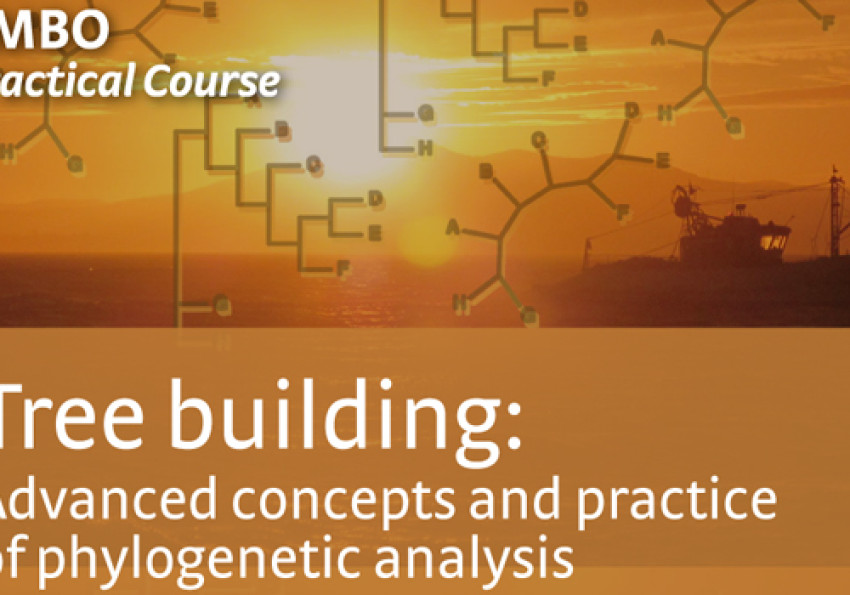 Generic representation of Tree building: Advanced concepts and practice of phylogenetic analysis