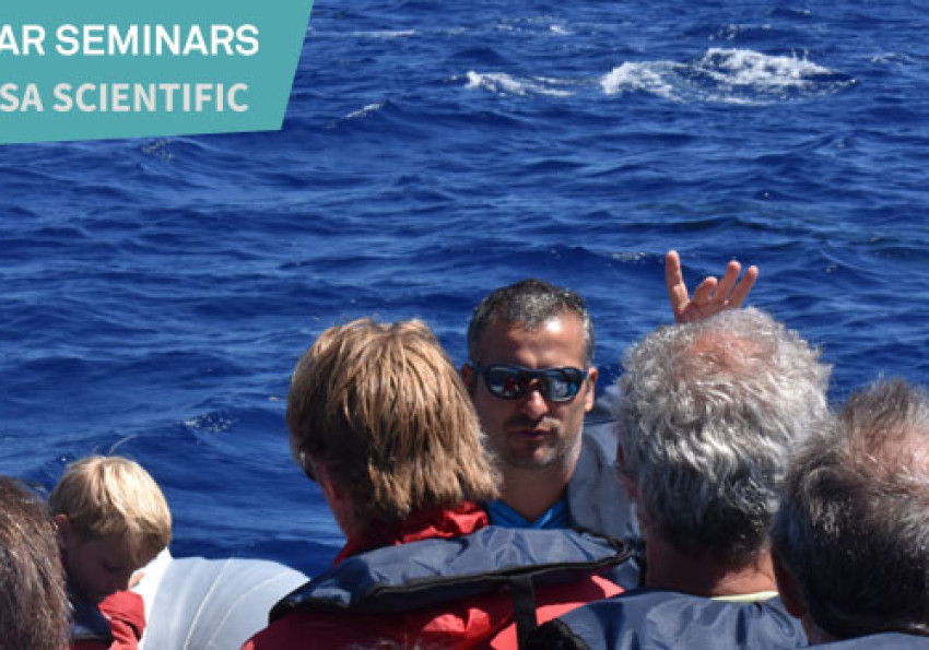 Generic representation of Azorean whale watching: an opportunistic platform to study cetaceans in the wild