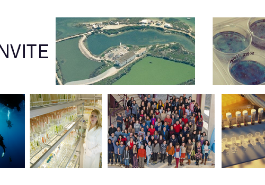 Generic representation of Novos impulsos à economia do Algarve: a ciência do CCMAR ao serviço do tecido empresarial