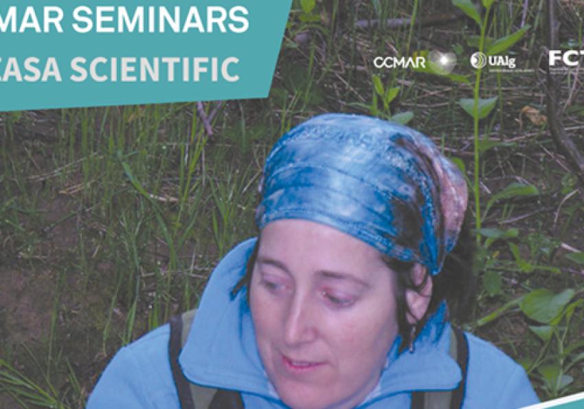 Generic representation of Comparison between the infralittoral-sublittoral macroinfauna of high-impact, medium-impact and non-impact beaches on the Gulf of Cádiz coast (SW Spain)