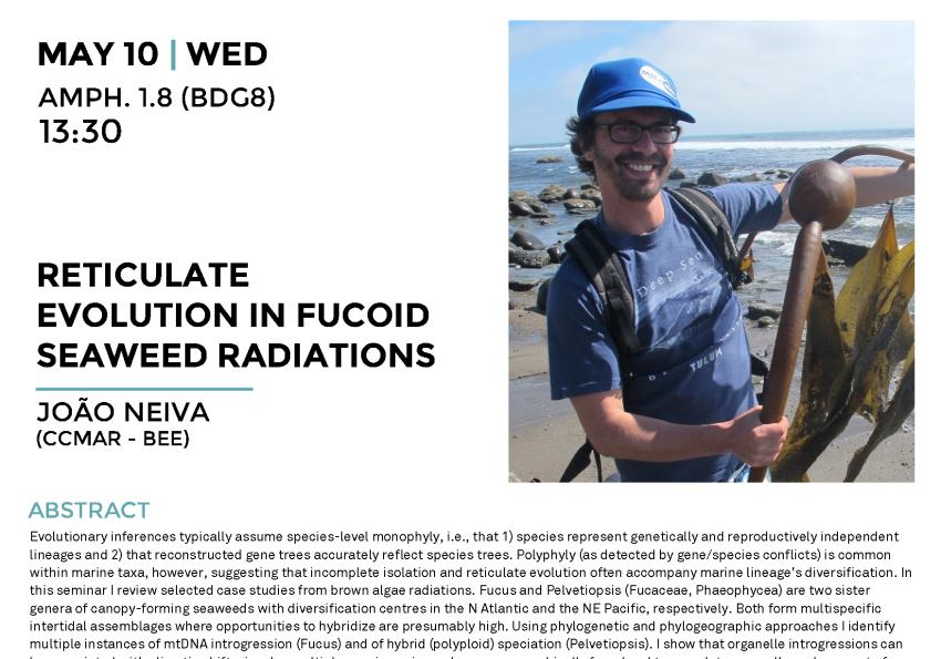Generic representation of Reticulate evolution in fucoid seaweed radiations