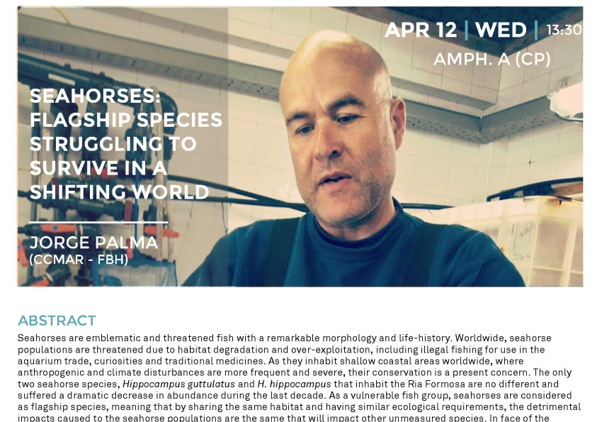 Generic representation of Seahorses:  Flagship species struggling to  survive in a  shifting world