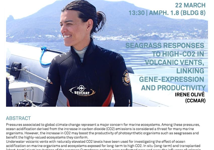 Generic representation of CCMAR Seminars: Seagrass responses to high-CO2 in volcanic vents...