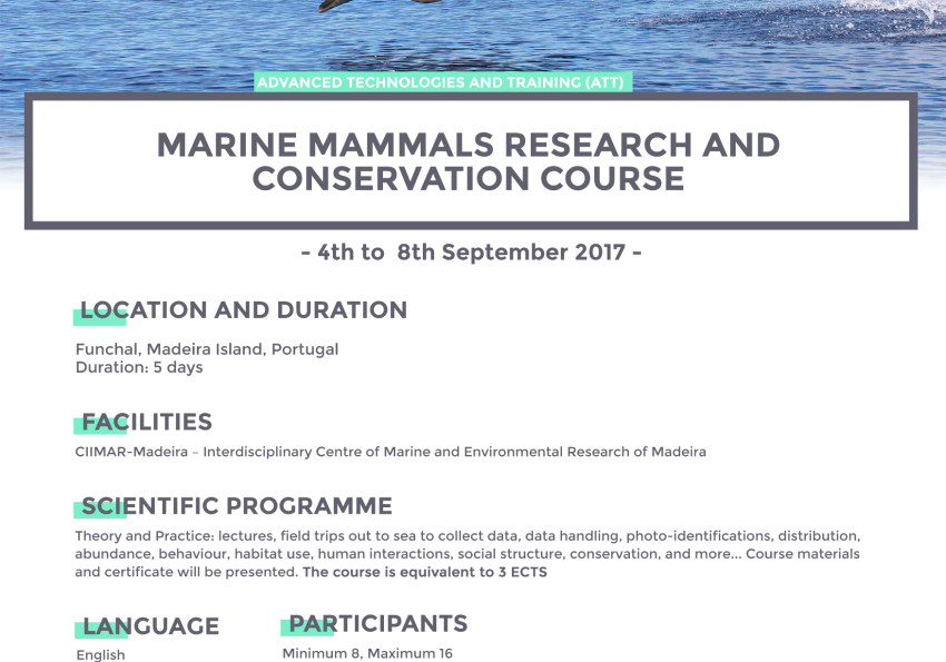 Generic representation of ATT: Marine Mammals Research and Conservation Course