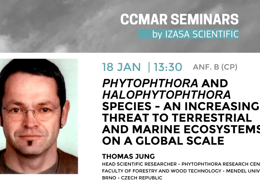 Generic representation of CCMAR Seminars: Phytophthora and Halophytophthora species - an increasing threat to terrestrial and marine ecosystems on a global scale