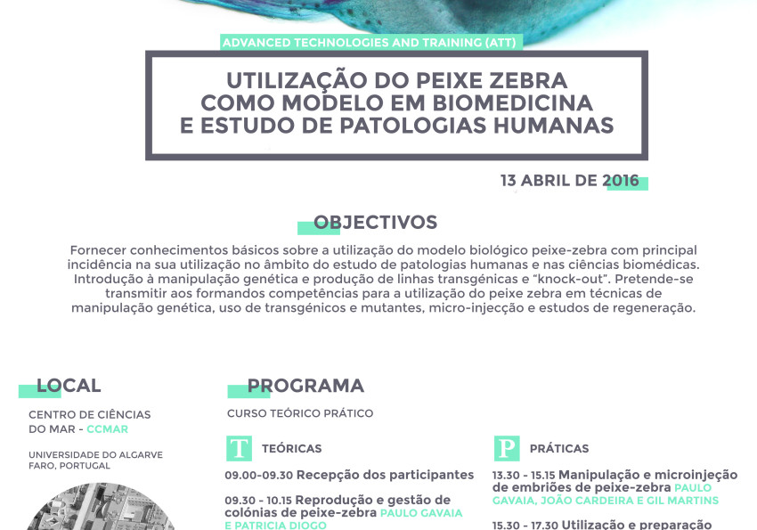 Generic representation of UTILIZAÇÃO DO PEIXE ZEBRA COMO MODELO EM BIOMEDICINA E ESTUDO DE PATOLOGIAS HUMANAS