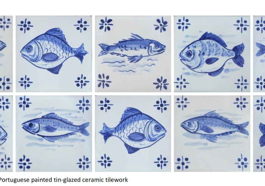 Generic representation of IAFSB 2015: 4th Conference “Interdisciplinary Approaches in Fish Skeletal Biology” 