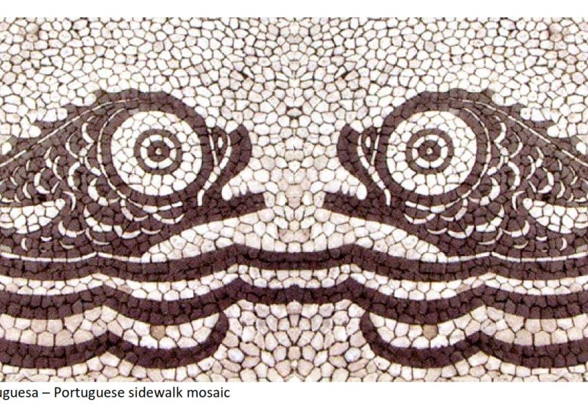 Generic representation of IAFSB 2011: 2nd Conference “Interdisciplinary Approaches in Fish Skeletal Biology”