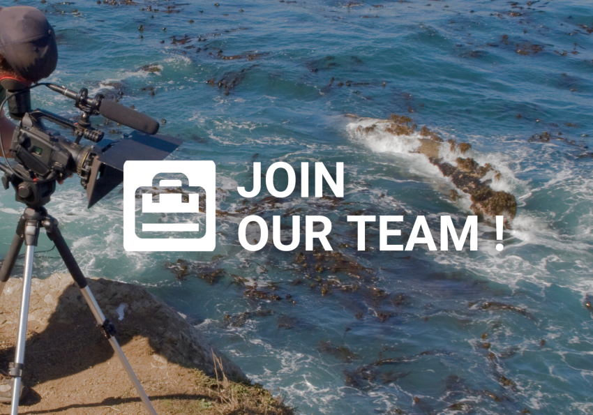 Join our team - multimedia expert