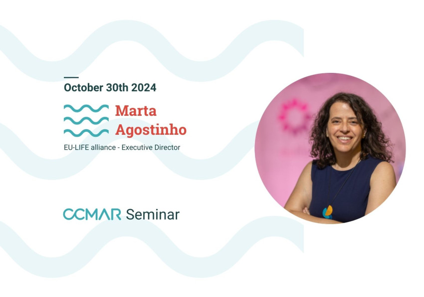 Seminar de Marta Agostinho