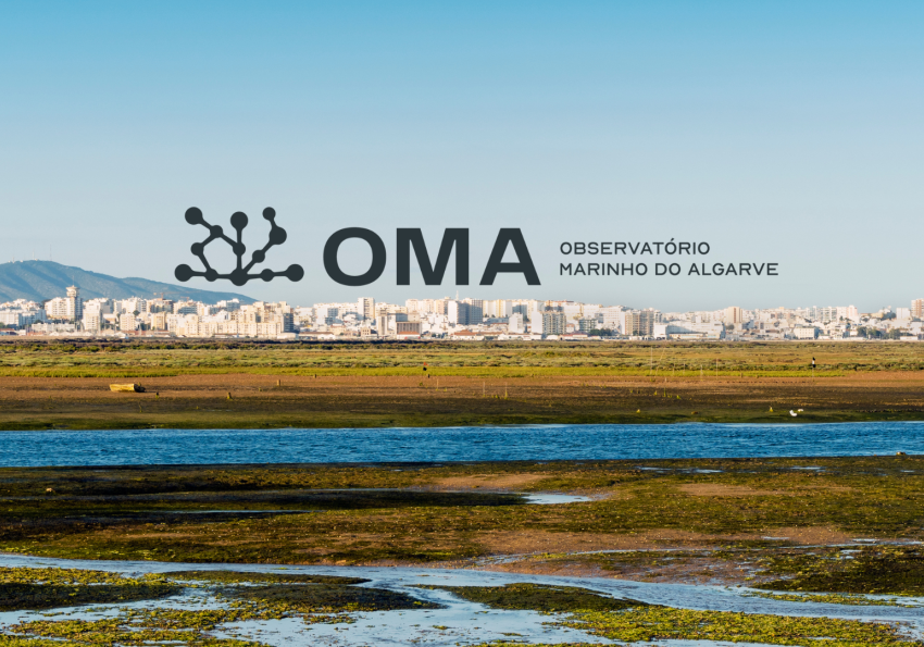 observatório marinho do algarve