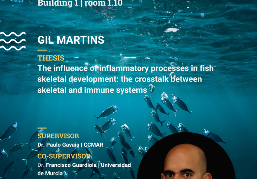 PhdThesisPresentation_GilMartins