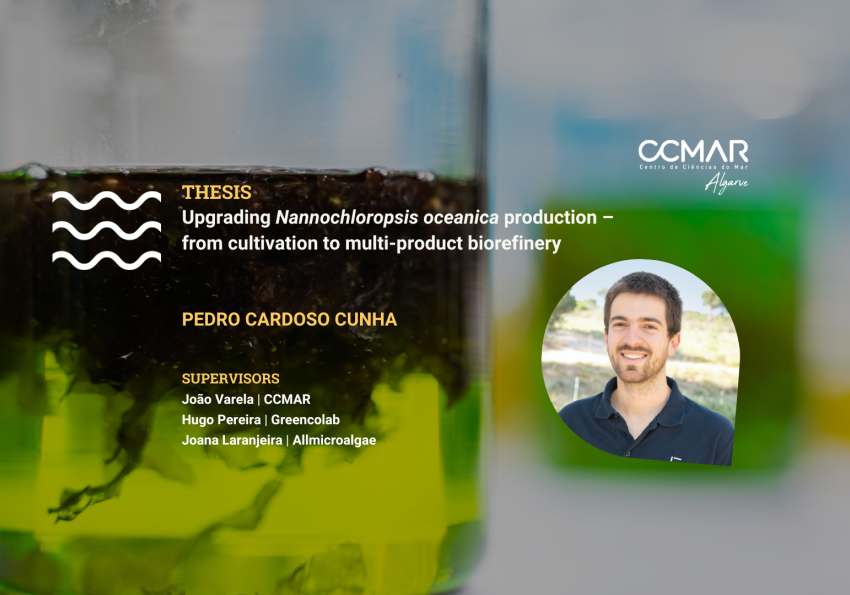 Pedro Cunha