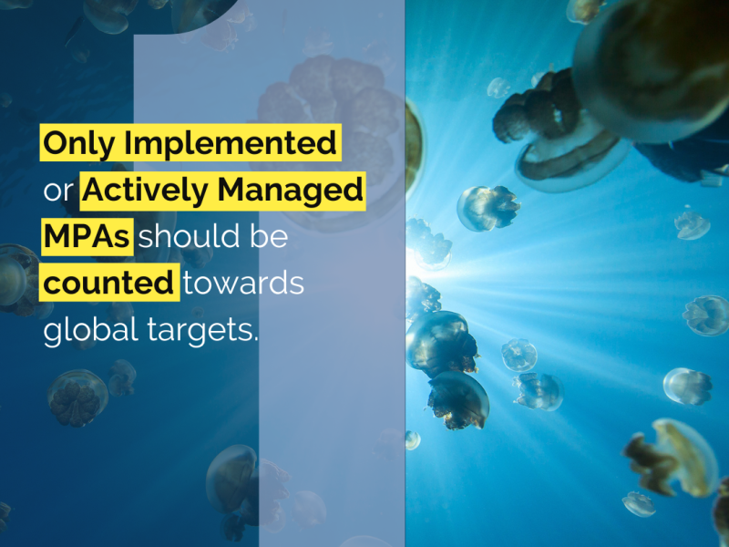 policy reccomendation 1