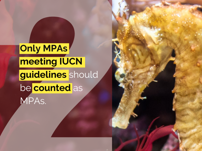 policy reccomendation 2