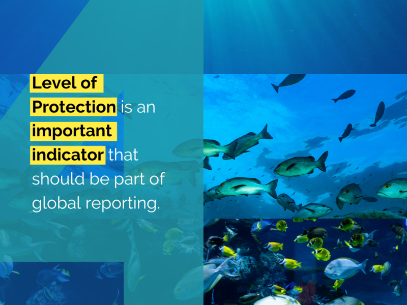 policy reccomendation 4