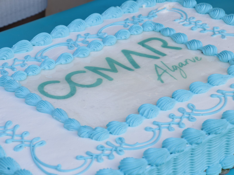 o bolo de aniversário do CCMAR