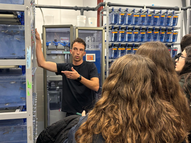 Bruno Ferreira explica o que fazemos com os peixes zebra