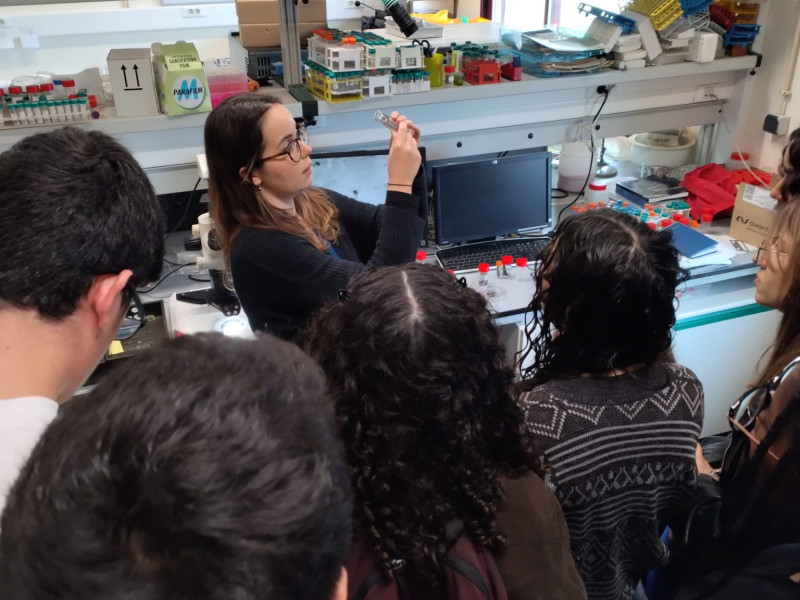 Inês Cerveira em explicação aos alunos do secundário