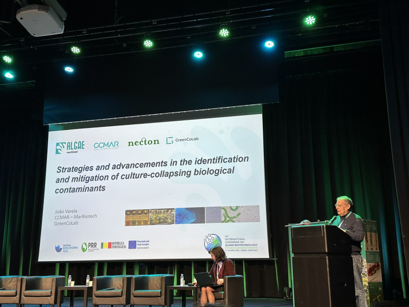 Professor João Varela presenting