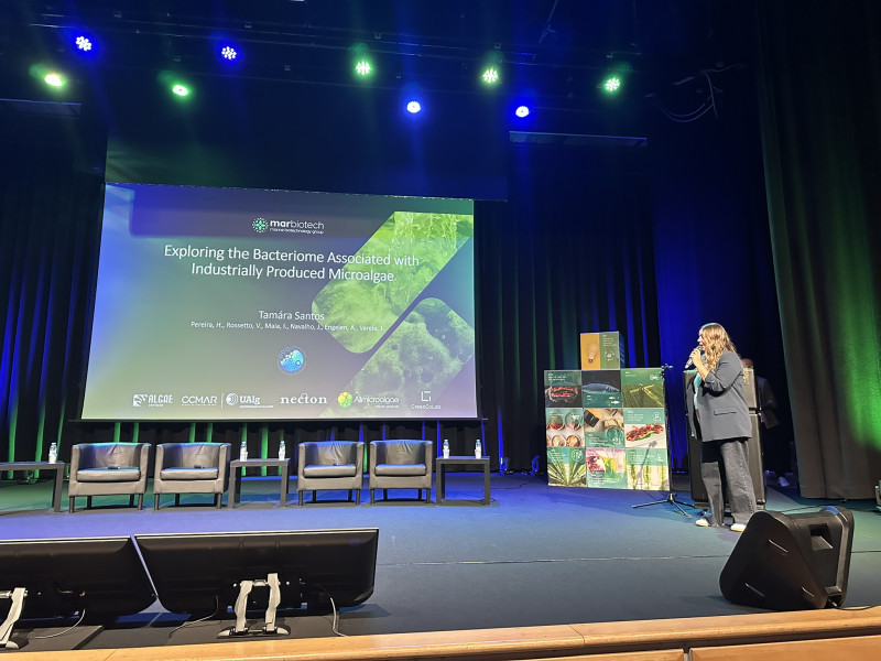 Tamara Santos presenting her talk on ICAB