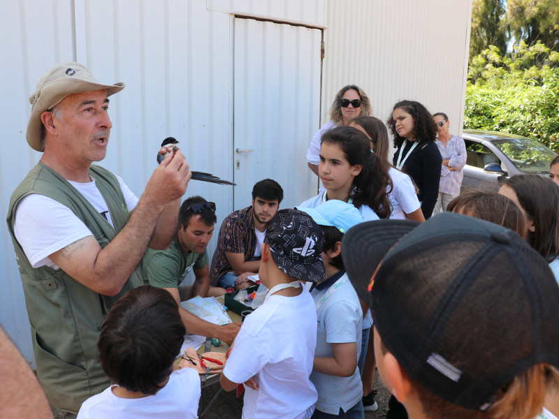 Antonio araujo na demonstraçao de anilhagem de passários