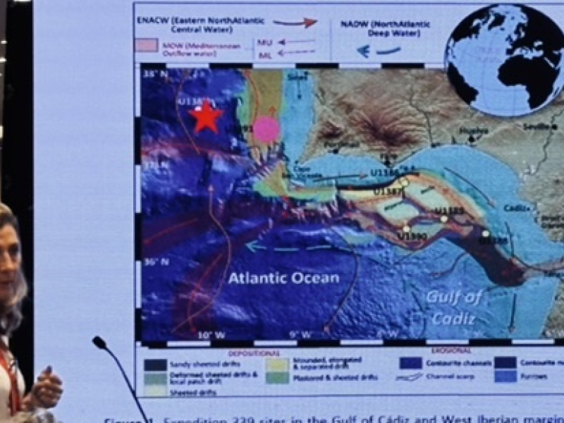 Teresa Rodrigues presenting at the 7th OSM