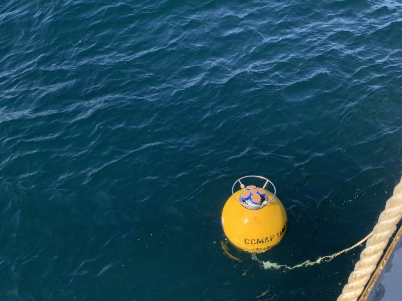 Preparation of the Acoustic Array mooring line before deployment