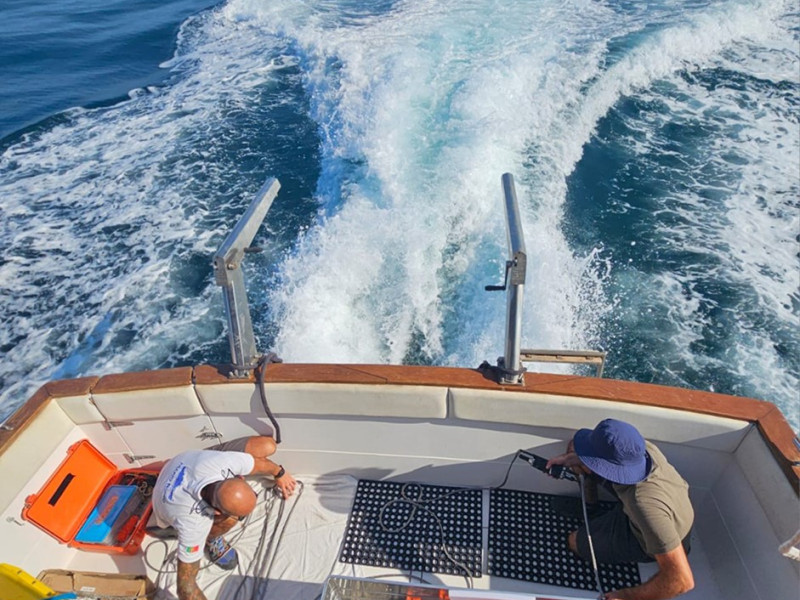 Preparation of the Acoustic Array mooring line before deployment