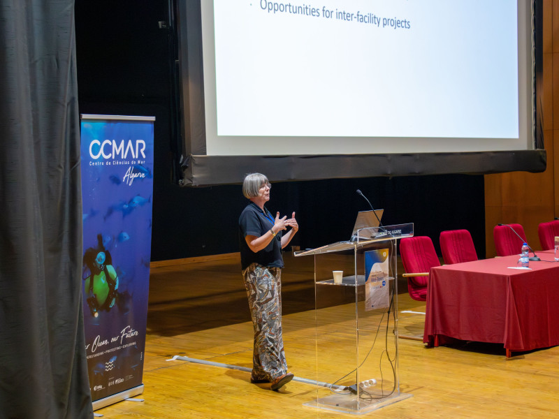 Elizabeth Duke reviewing the past and looking into the future of IMAGINE (WP1 Leader, EMBL Hamburg)