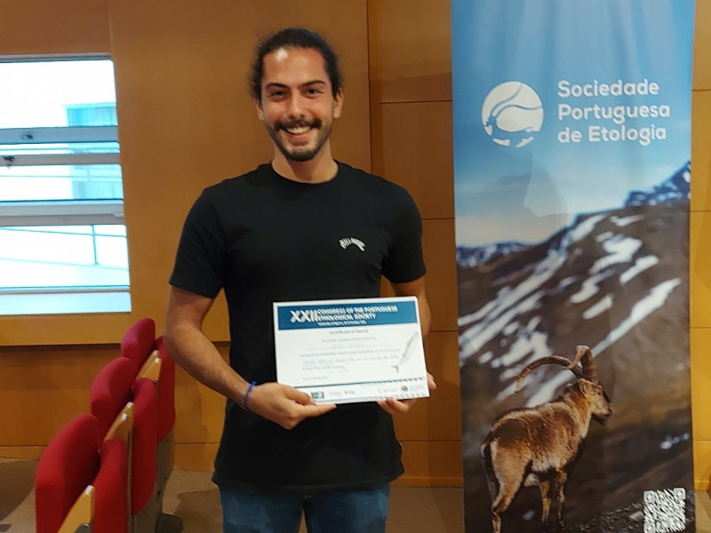 João Grave Best Power Award