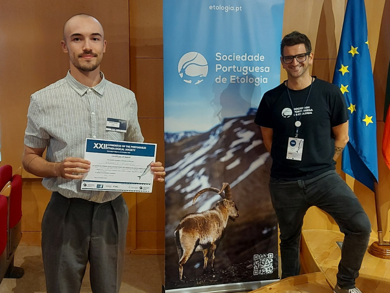 Antony Pieters Menção Honrosa