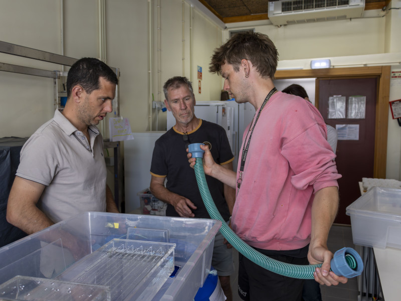 Eric Schuster, Melissa Piselli, and Jan Lennartz under the supervision of Luís Barreto and Gareth Pearson within the BEE group