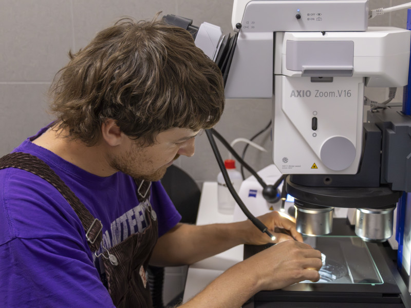 Robert Tornow within the Imaging Platform