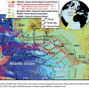 Generic representation of CINNAMOW
