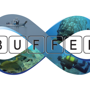 Generic representation of BUFFER