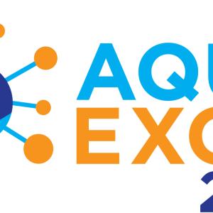 Generic representation of AQUAEXCEL2020
