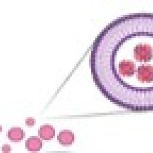 GRP loaded Extracellular Vesicles 