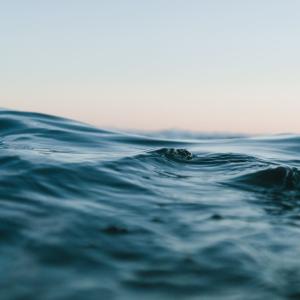 Generic representation of Vertical Bivalves