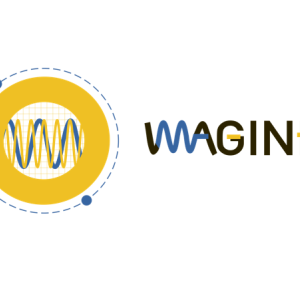 Generic representation of IMAGINE