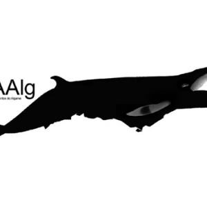 Generic representation of RAAlg