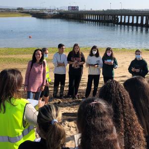 Generic representation of BridgingAll 